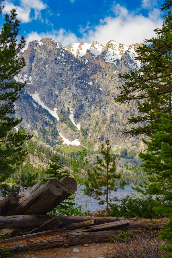 Grand Tetons view point on our hike, day before race, June 2016
